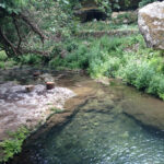 etnaphonie-randonnées-cava-carosello